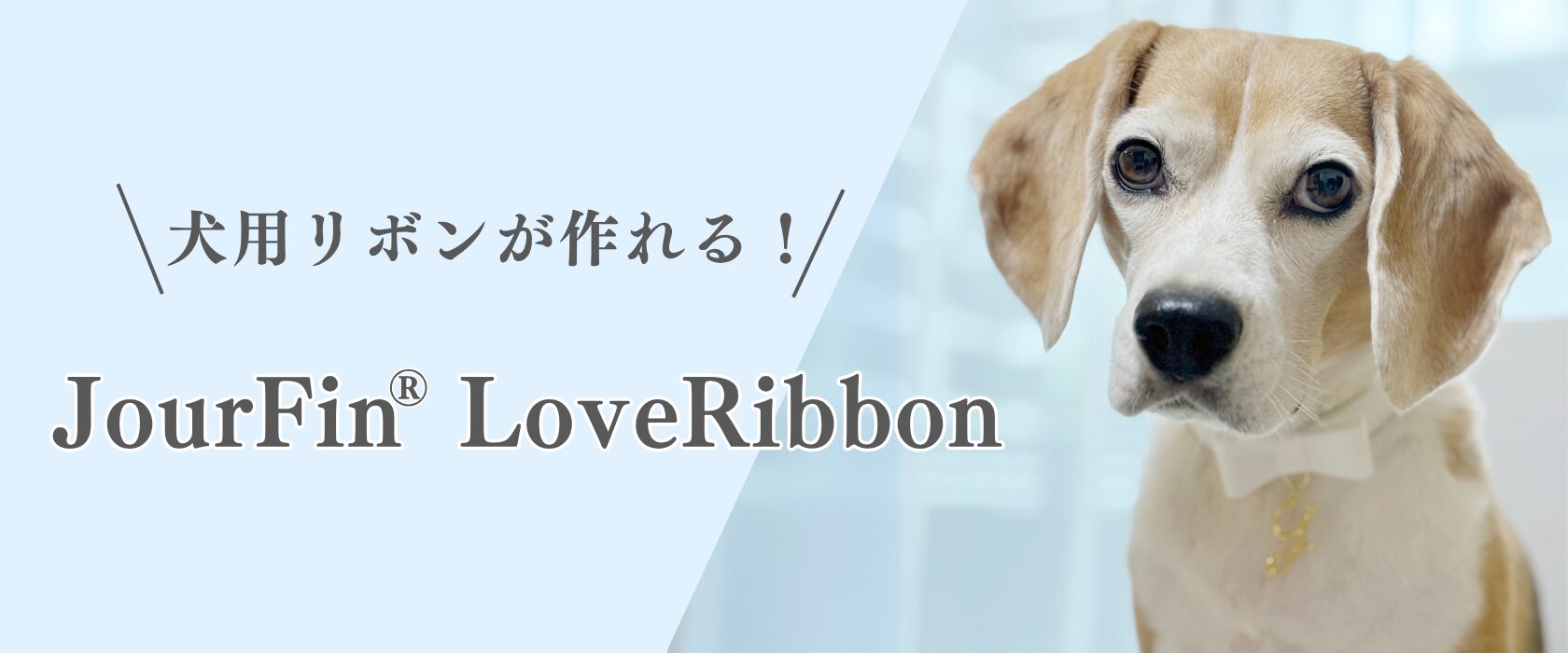 犬用リボンが作れる！ JourFin Loveリボンドッグアクセサリーコース