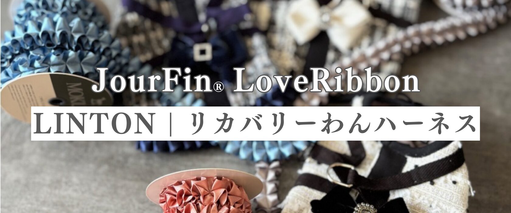 【JourFin®新レッスン】愛犬へ贈る、LINTONツイード オートクチュールハーネス | 東京・日本橋